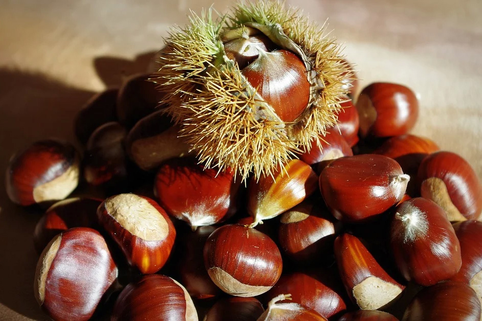 Châtaignes fraîches AB – Image 1